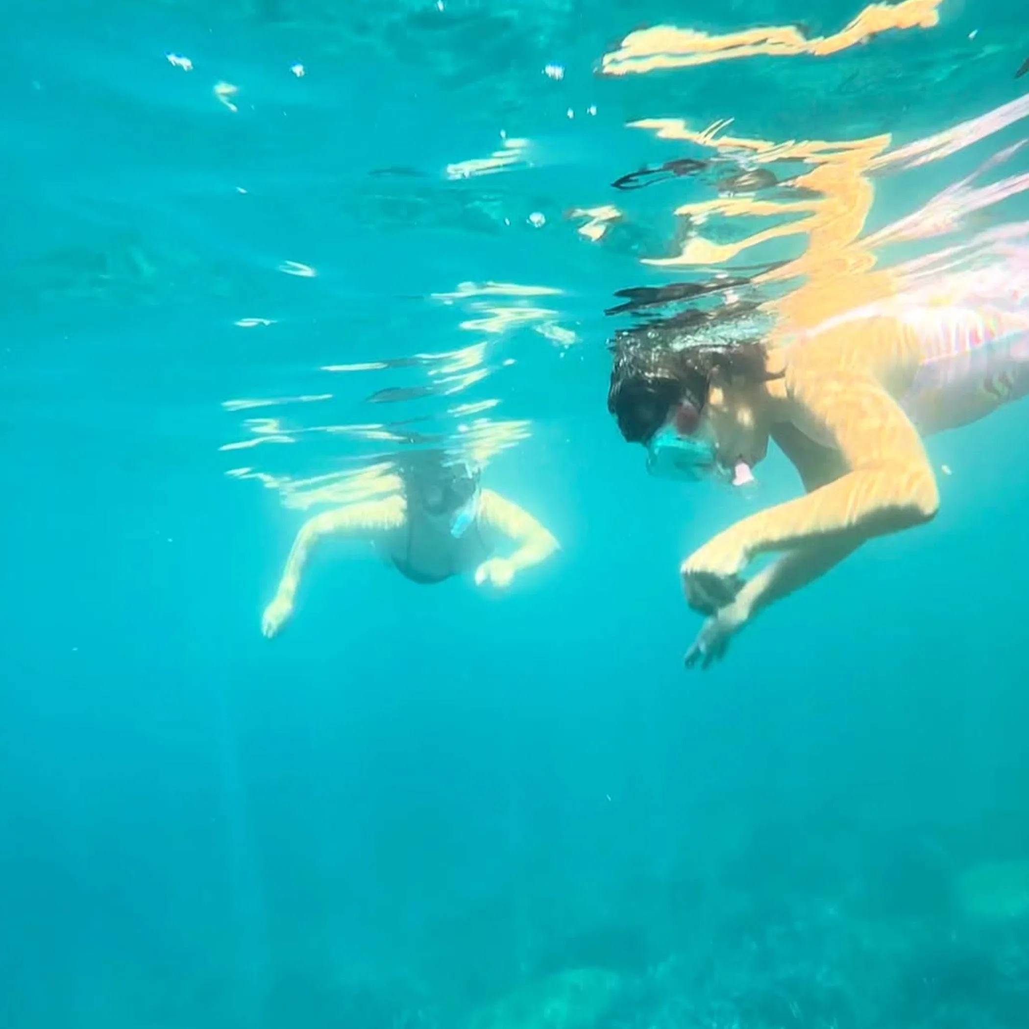 clear underwater snorkeling scene