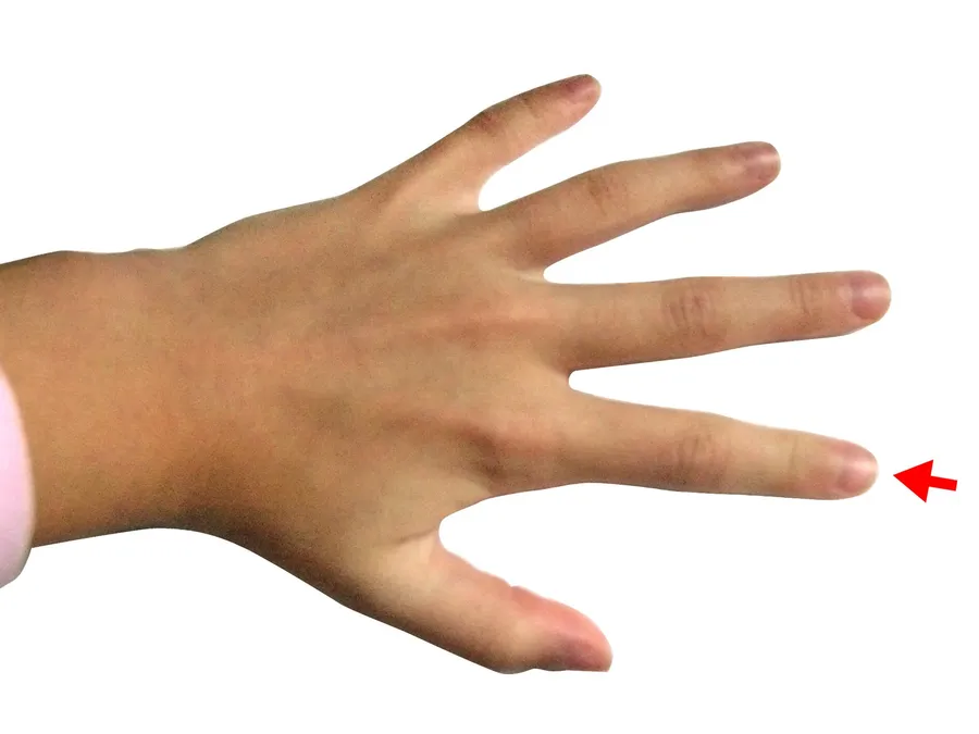 Finger Picking Shop Tattoo — in practice