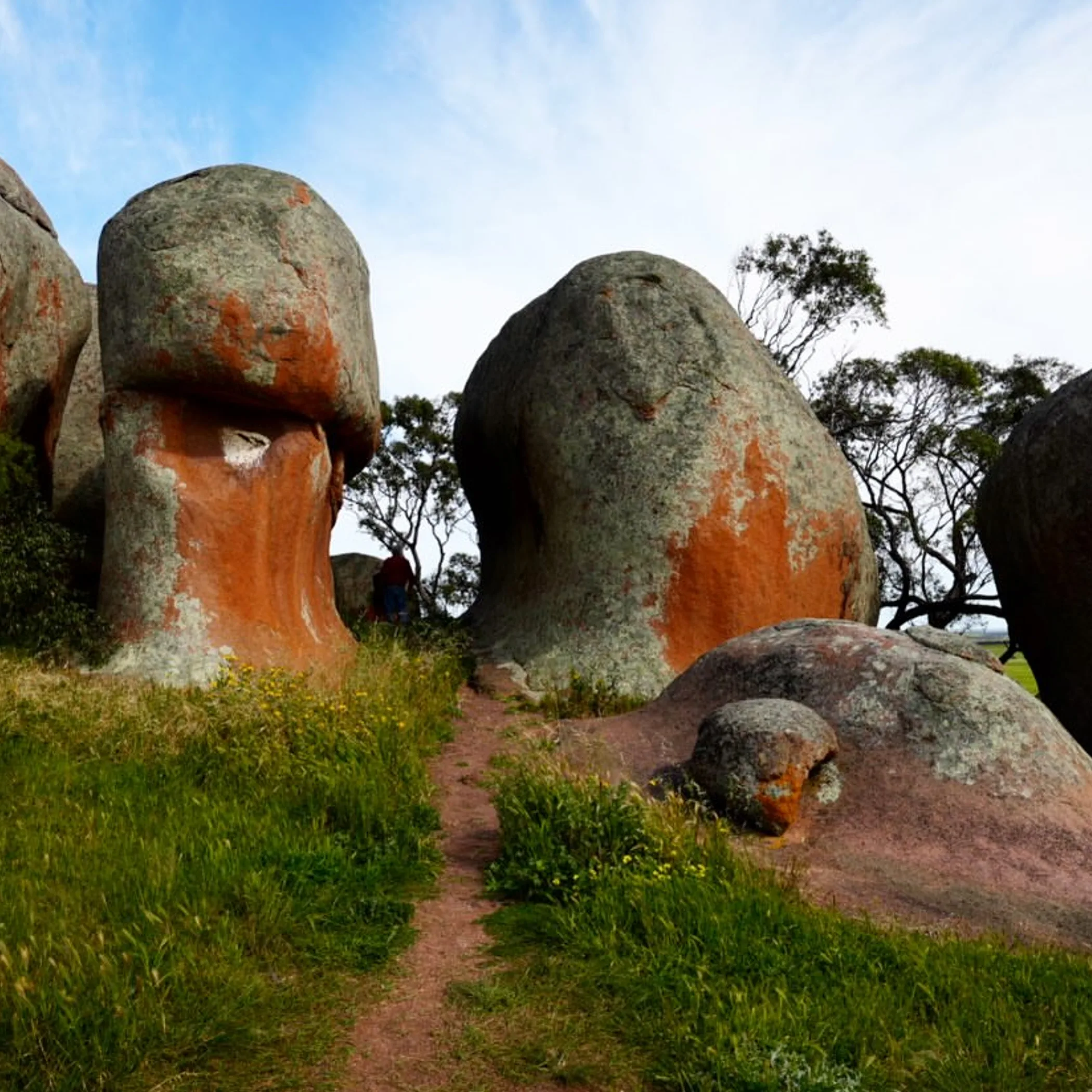 australian landscape road trip